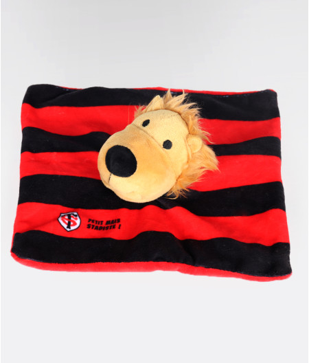 Doudou Stade Toulousain 1