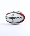 Ballon Réplica ST x Groupama Taille 5 Stade Toulousain 2