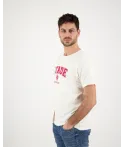 T-shirt Homme Brodi Stade Toulousain écru 5