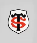 Magnet Logo ST