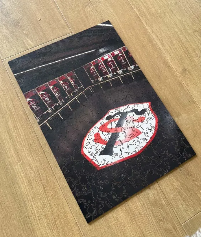Puzzle Bois A3 Vestiaire Stade Toulousain 3