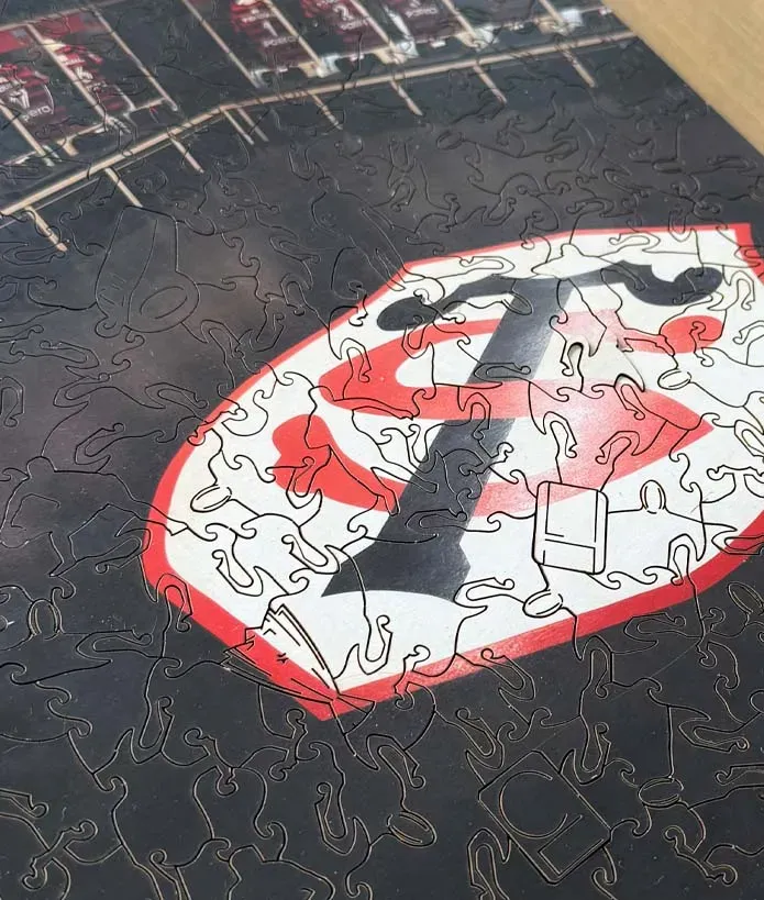 Puzzle Bois A3 Vestiaire Stade Toulousain 2