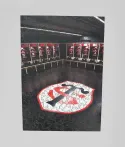Puzzle Bois A3 Vestiaire Stade Toulousain 1